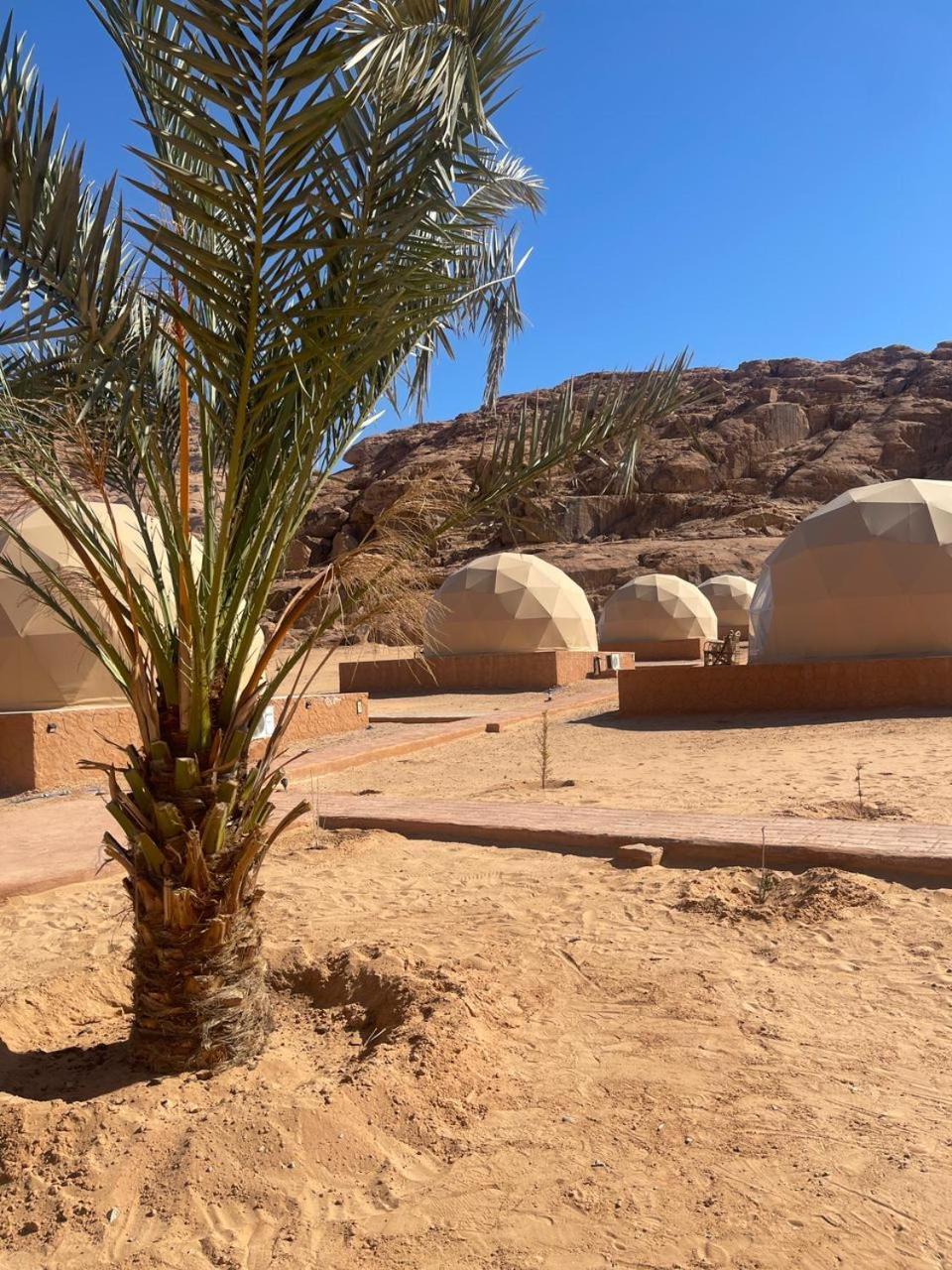 Wadi Rum Aviva Camp Ngoại thất bức ảnh