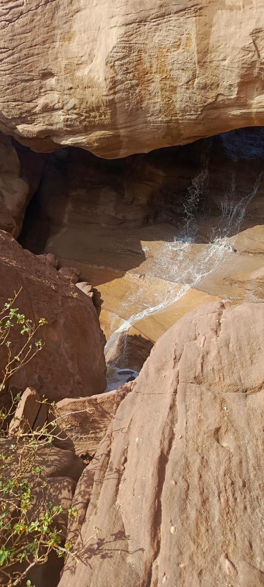Wadi Rum Aviva Camp Ngoại thất bức ảnh